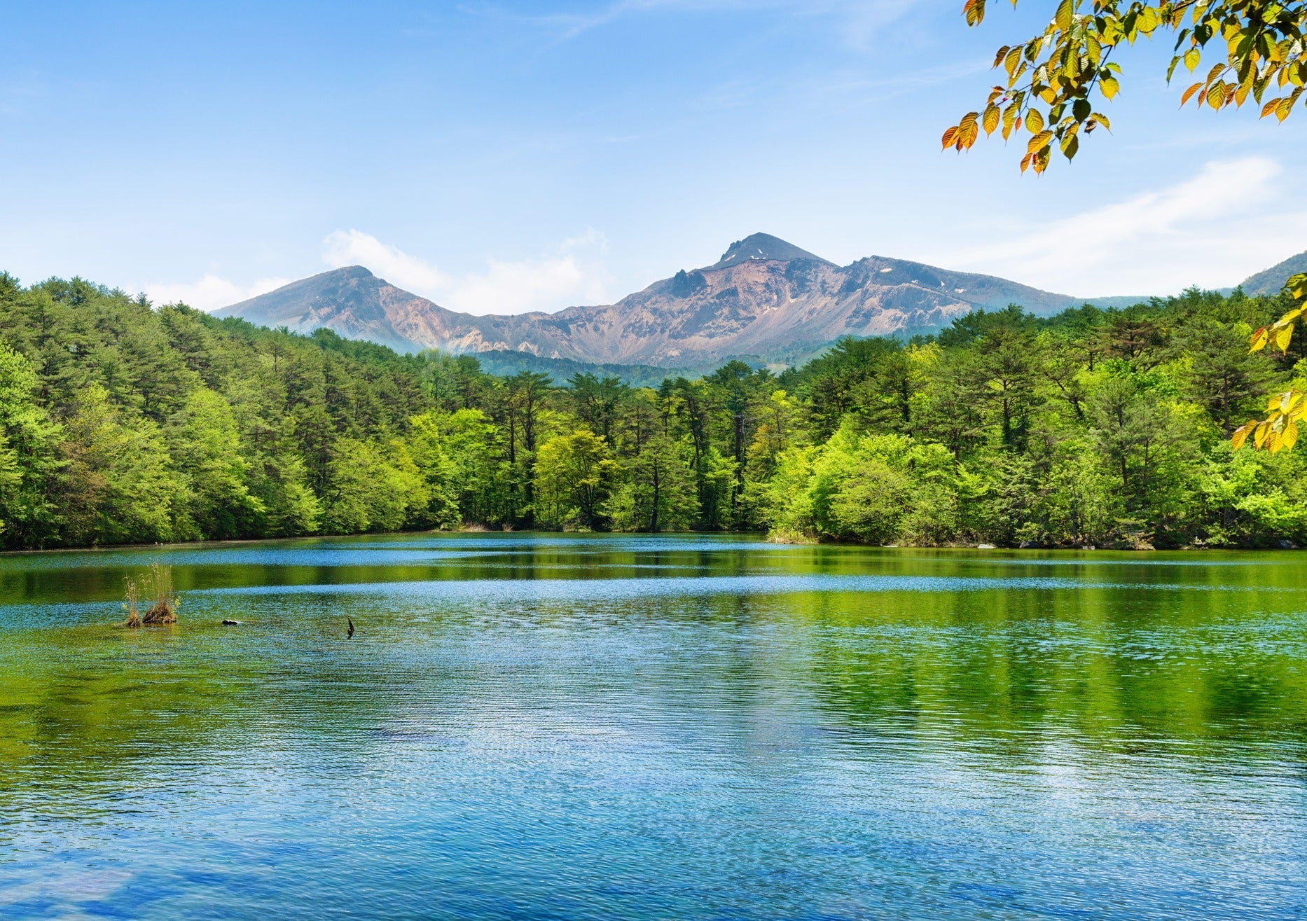 A clear lake surrounded by green trees, with mountains and blue sky in the background.