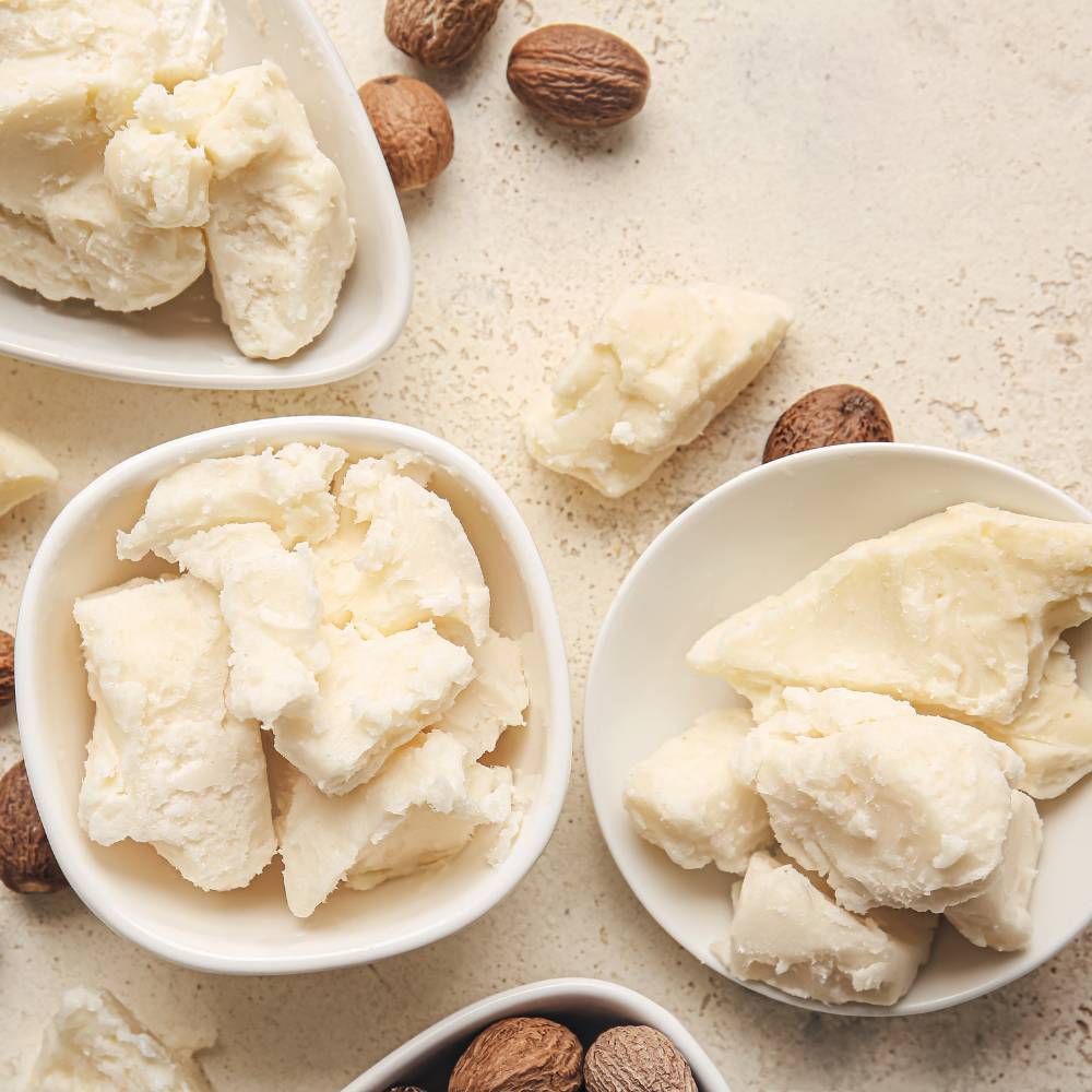 Bowls of raw shea butter chunks surrounded by whole shea nuts on a light textured surface.