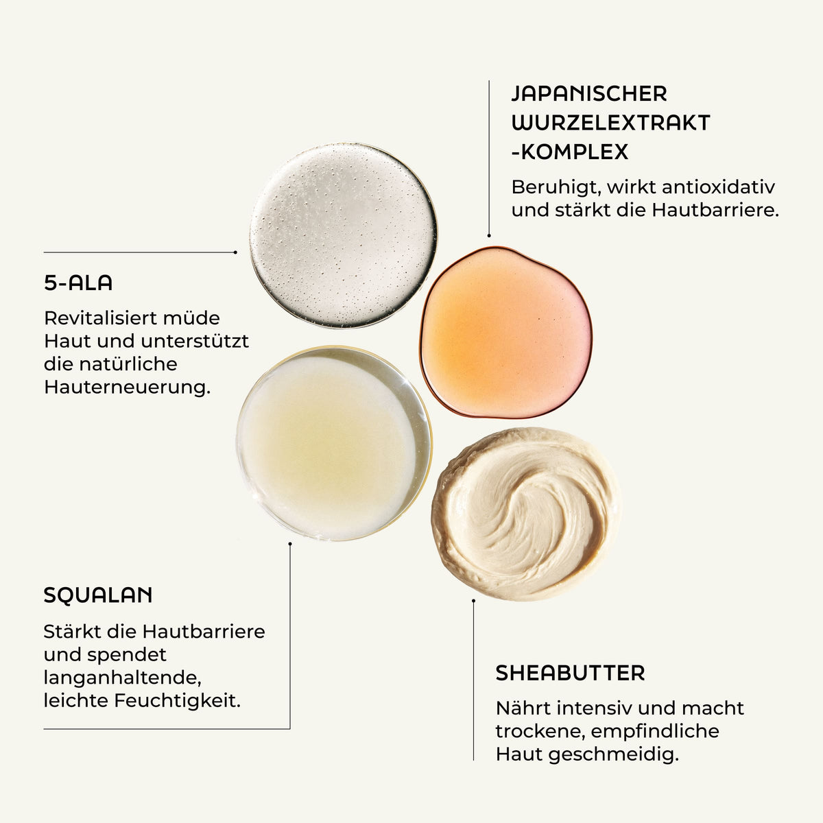 Entdecken Sie vier wirksame Hautpflegewirkstoffe in der SBI ALApromo Day Cream Intense: 5-ALA, Squalan, Wurzelextrakt-Komplex und Sheabutter. Die Day Cream Intense eignet sich besonders für empfindliche Haut und bietet eine intensive Gesichtspflege. Squalan spendet langanhaltende Feuchtigkeit, während der Wurzelextrakt-Komplex und Sheabutter die Haut beruhigen und pflegen – für ein sichtbar gesundes Hautbild.