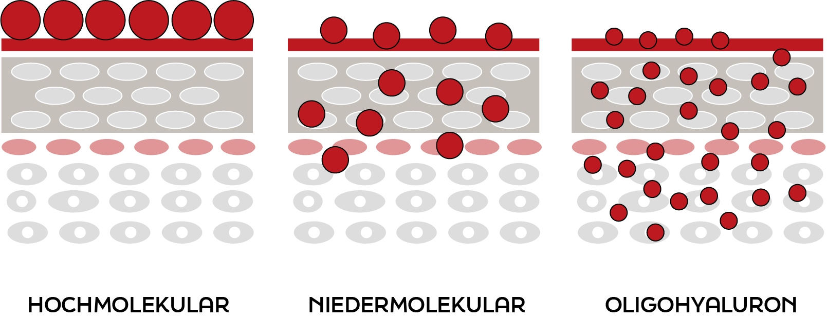 Hochmolekular, Niedermolekular und Oligohyaluron von KIYOMI SKIN.